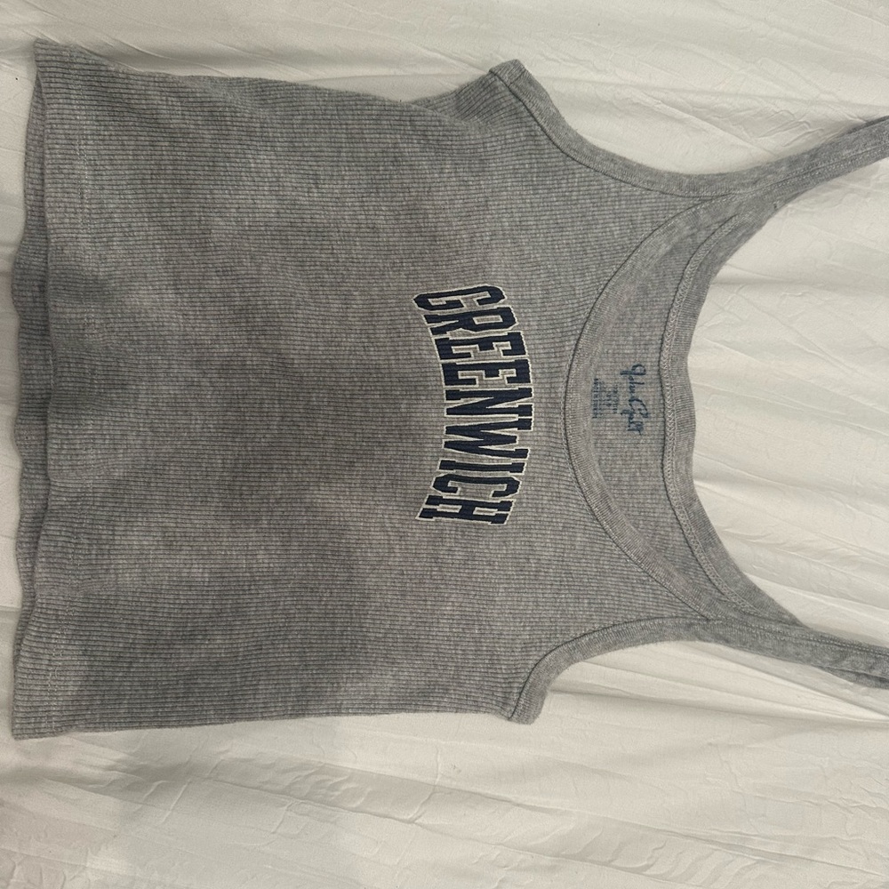 Brandy Melville Gray Tank Top with Greenwich Print